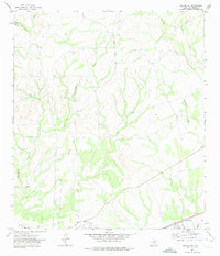 Del Rio NE 1972 topographic map thumbnail