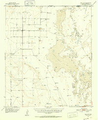 Dell City 1951 topographic map thumbnail