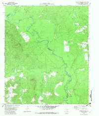 Denson Springs 1982 topographic map thumbnail