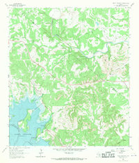 Devils Backbone 1963 topographic map thumbnail