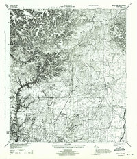 Devils Lake 1944 topographic map thumbnail
