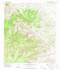 Little Aguja Mountain 1972 topographic map thumbnail