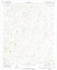 Little Indian Creek 1971 topographic map thumbnail