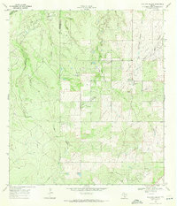 Live Oak Hollow 1969 topographic map thumbnail