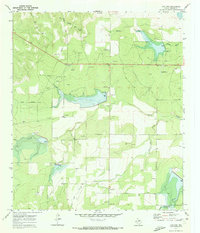 Live Oak 1970 topographic map thumbnail