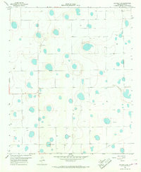 Lockney 4 SW topographic map thumbnail