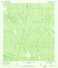 Loma Alta NE 1969 topographic map thumbnail