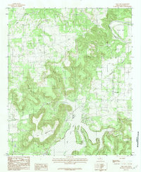 Lone Camp 1984 topographic map thumbnail
