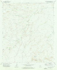 Loneman Mountain 1973 topographic map thumbnail