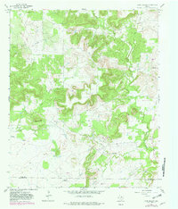 Long Hollow 1967 topographic map thumbnail