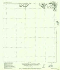 Los Ebanos 1956 topographic map thumbnail