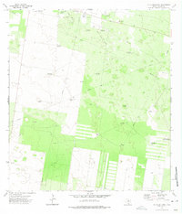 McAllen Ranch 1972 topographic map thumbnail