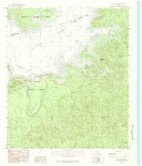 McGee Bend 1984 topographic map preview