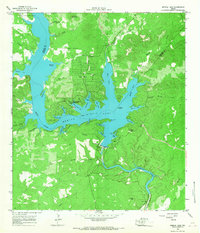 Medina Lake 1964 topographic map thumbnail