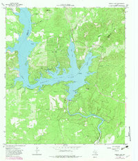 Medina Lake 1964 topographic map thumbnail