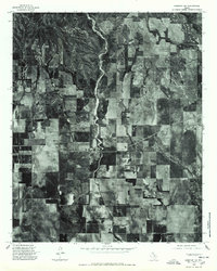 Memphis NW 1976 topographic map thumbnail