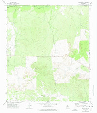 Mertzon SW 1972 topographic map thumbnail