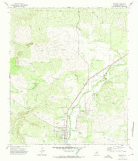 Mertzon 1972 topographic map thumbnail