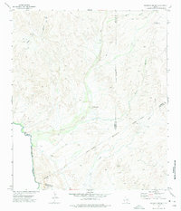 Mesquite Spring 1972 topographic map preview