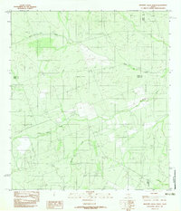 Mesteno Creek North 1982 topographic map thumbnail