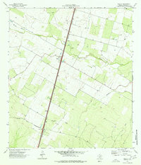 Millett 1974 topographic map preview