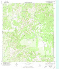Kickapoo Caverns 1974 topographic map thumbnail