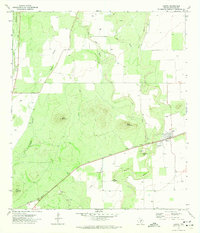 Knippa 1971 topographic map preview