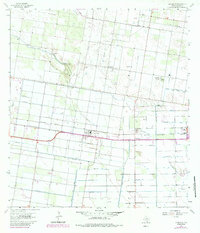 La Blanca 1963 topographic map thumbnail
