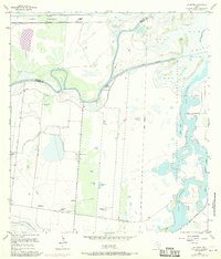 La Leona 1955 topographic map thumbnail