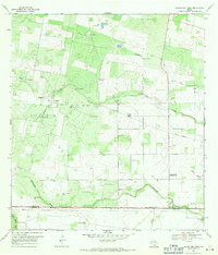 Laguna Del Toro 1969 topographic map thumbnail