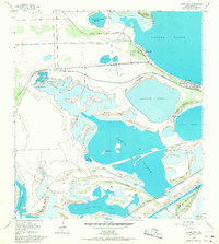 Laguna Vista 1955 topographic map thumbnail