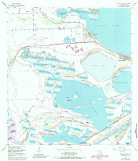 Laguna Vista 1955 topographic map thumbnail