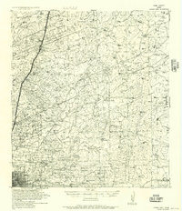 Laredo East 1956 topographic map thumbnail