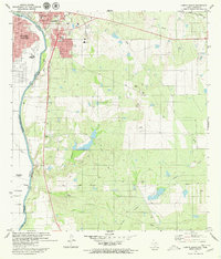 Laredo South 1979 topographic map preview