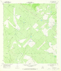 Las Flores 1969 topographic map preview