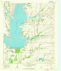 Lavon 1963 topographic map thumbnail