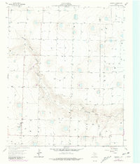 Lazbuddie 1963 topographic map thumbnail