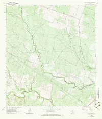 Lazy F Ranch 1963 topographic map thumbnail