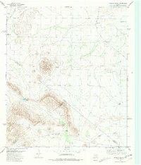 Leoncita Ranch 1980 topographic map thumbnail