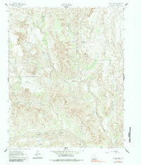 Griffin Ranch 1962 topographic map preview
