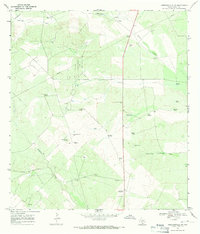 Hebbronville NW 1967 topographic map thumbnail