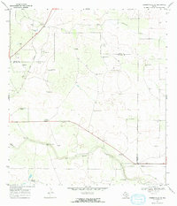 Hebbronville SE 1967 topographic map thumbnail