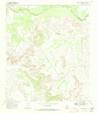 Indian Mesa NE 1969 topographic map thumbnail