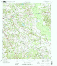Jacksonville East 1973 topographic map thumbnail
