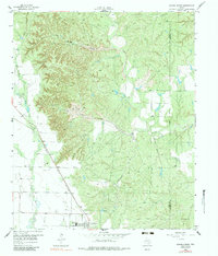 Jayton North 1958 topographic map thumbnail