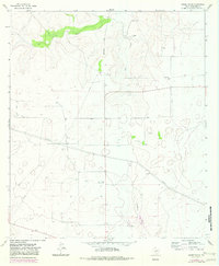 Moore Ranch 1964 topographic map thumbnail