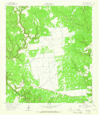 Morales 1964 topographic map preview