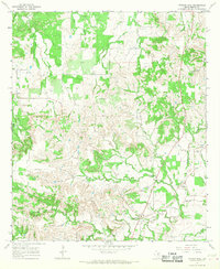 Morgan Mill 1965 topographic map thumbnail
