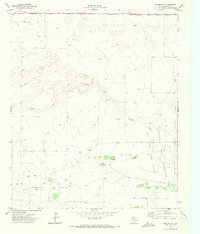 Morton SW 1970 topographic map thumbnail