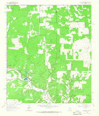 Mountain Home 1964 topographic map thumbnail